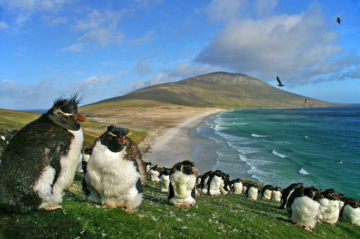 Falkland Islands Talk