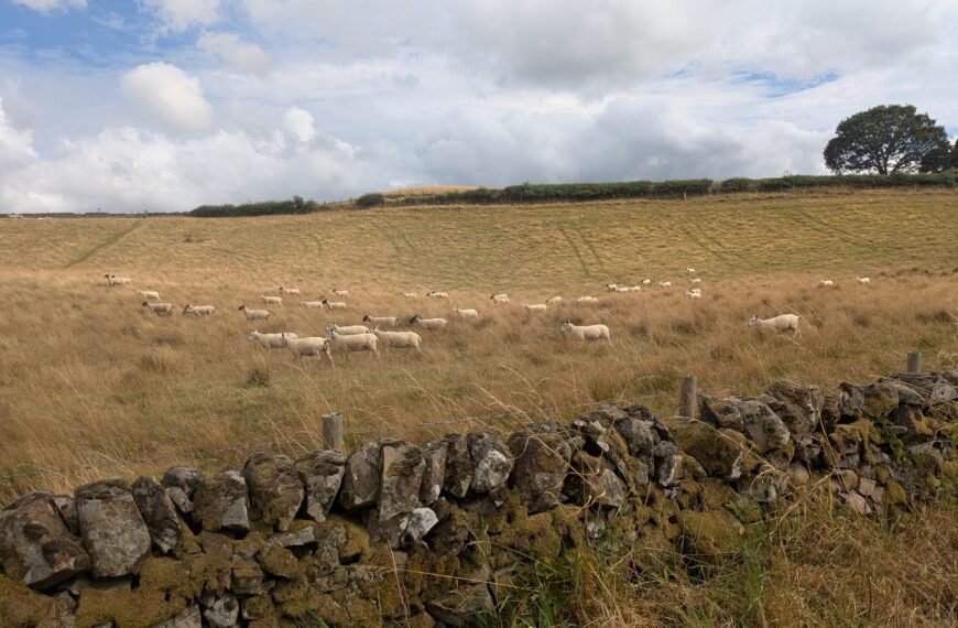 Dunscore Digest – Summer 2026
